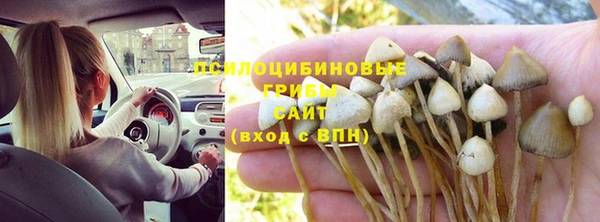 спайс Абинск